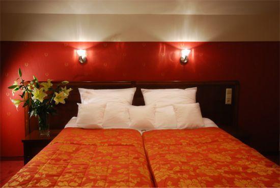 Hotel Victoria Włocławek 部屋 写真